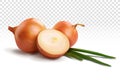 Orange onion. A cut piece.